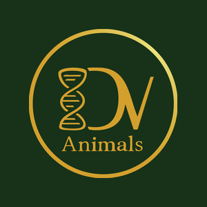 DV Animals